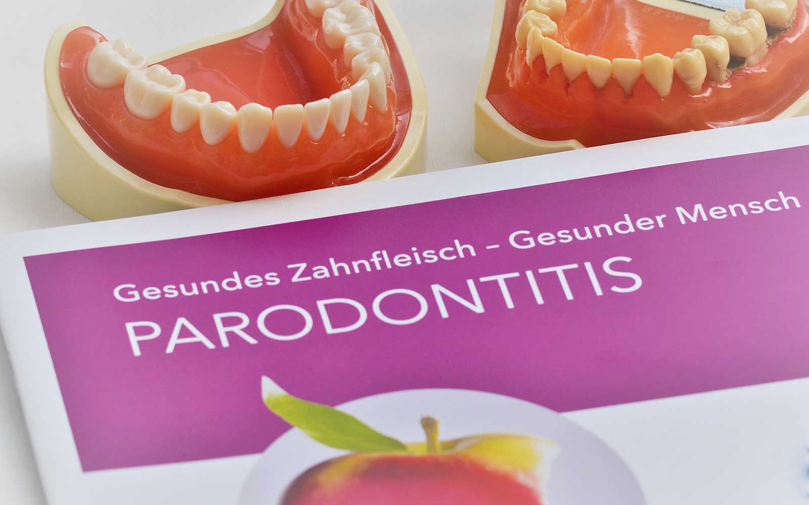 Parodontologie